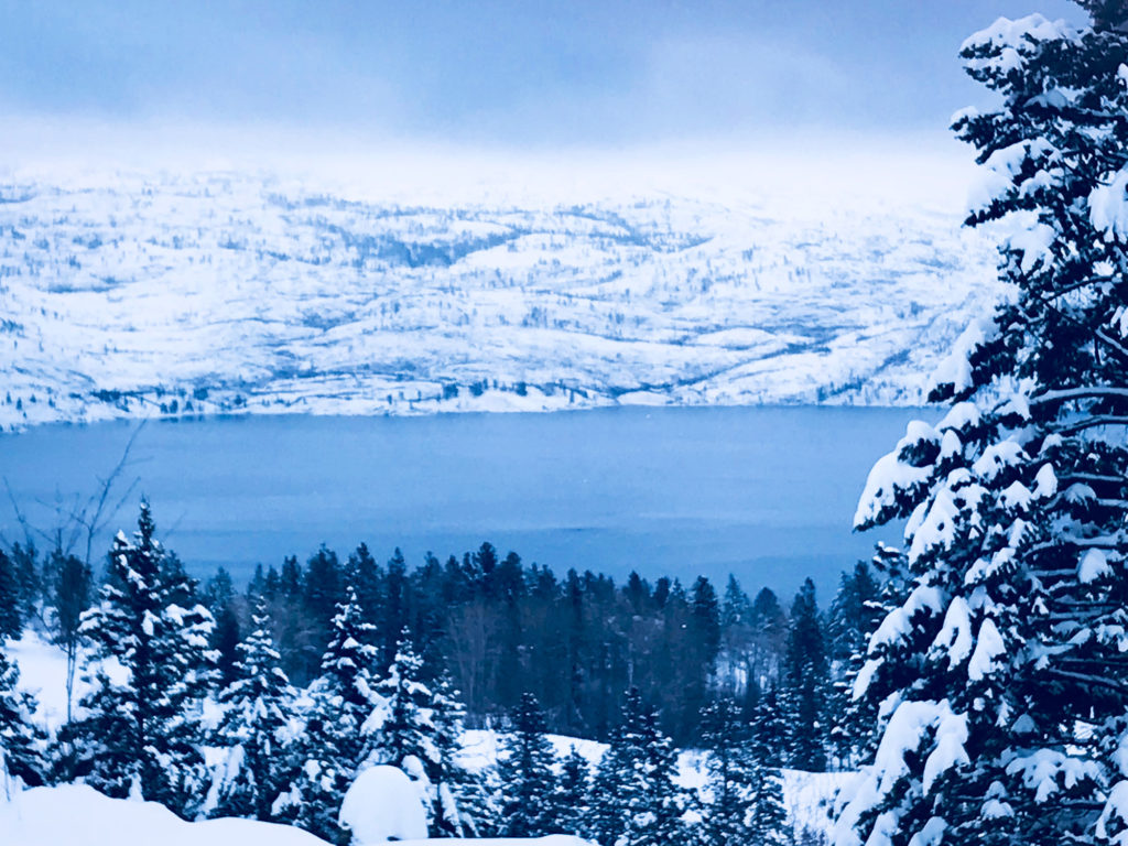 冬のカナダ留学ケロウナ