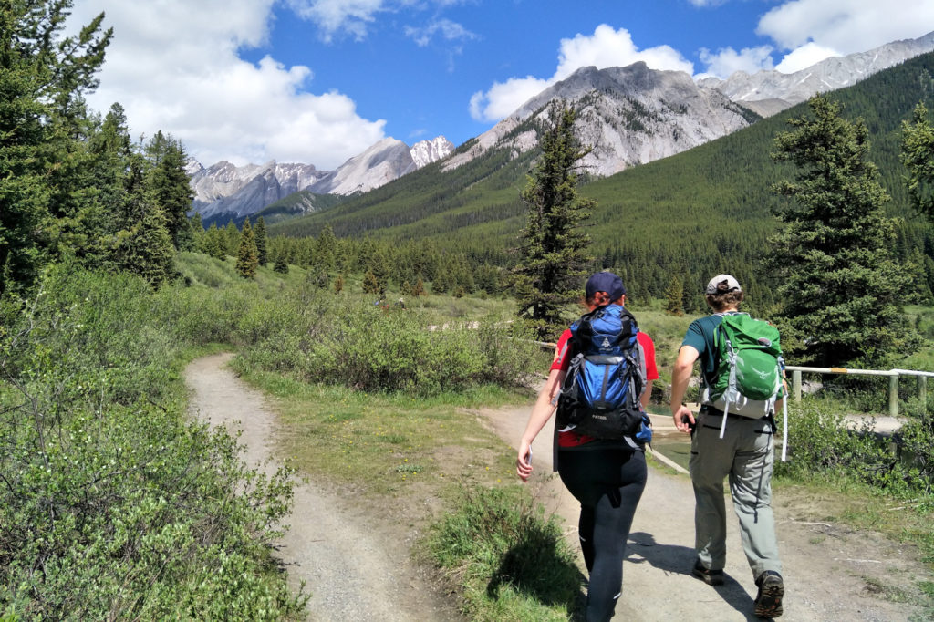 自然保護ボランティア バンフ1