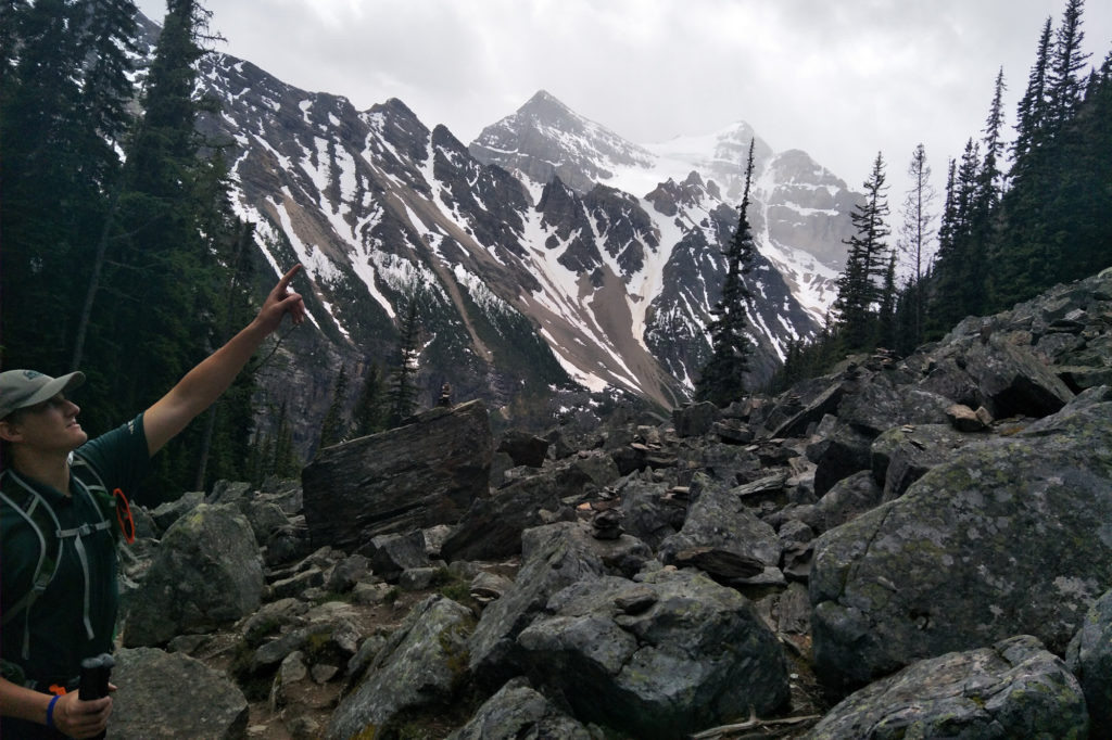 自然保護ボランティア バンフ3