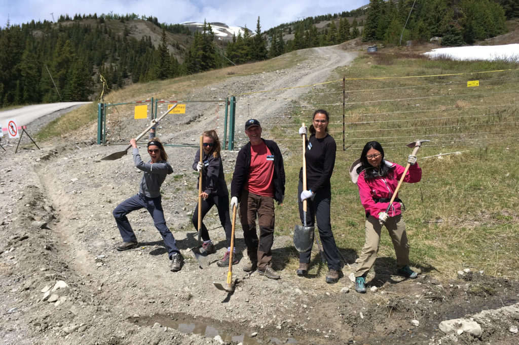 自然保護ボランティア レイクルイーズ3