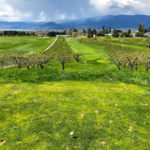 ケロウナの魅力4 - ゴルフ満喫