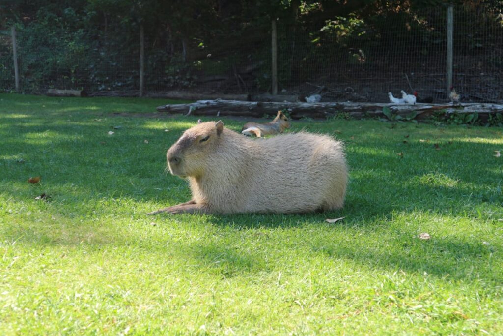 カナダ留学 GO AND SEE!