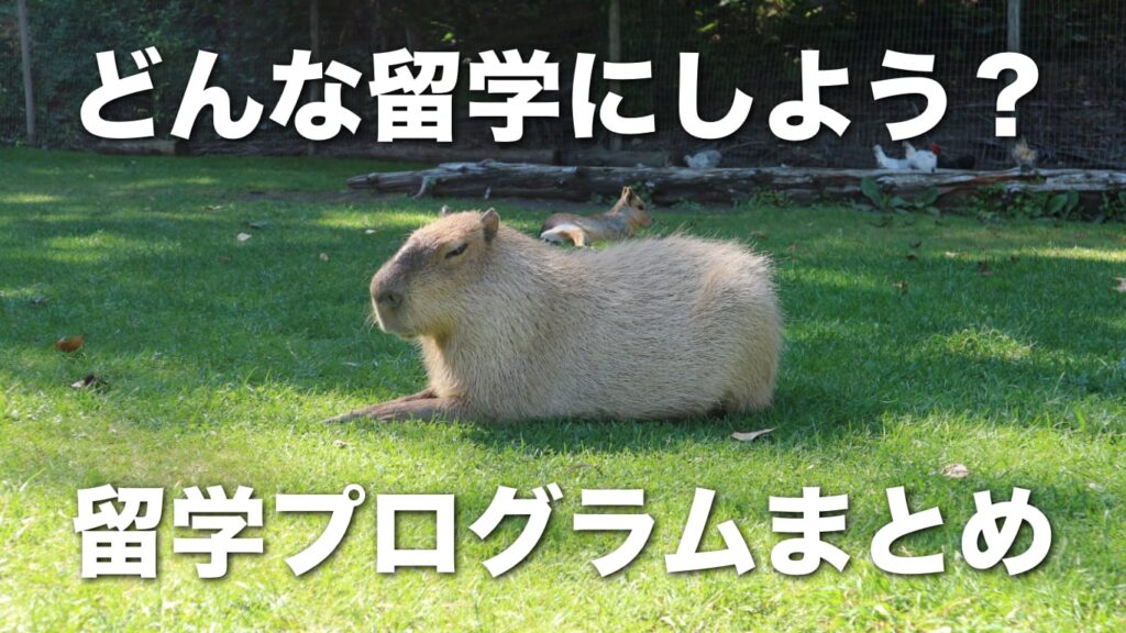 カナダ留学プログラム