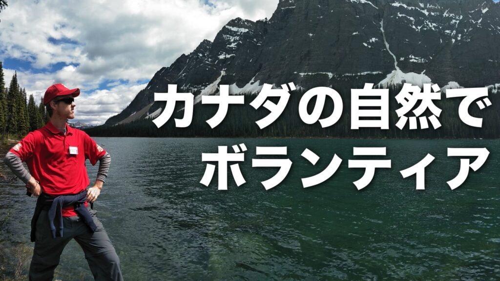 カナダ留学自然保護ボランティア