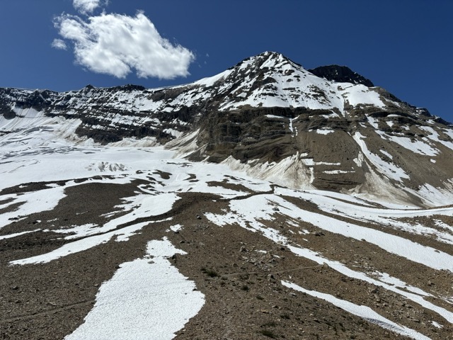 カナダ国立公園自然保護ボランティア2